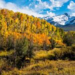 Discover Rocky Mountain National Park - Convenient Pickup and Comfortable Transportation