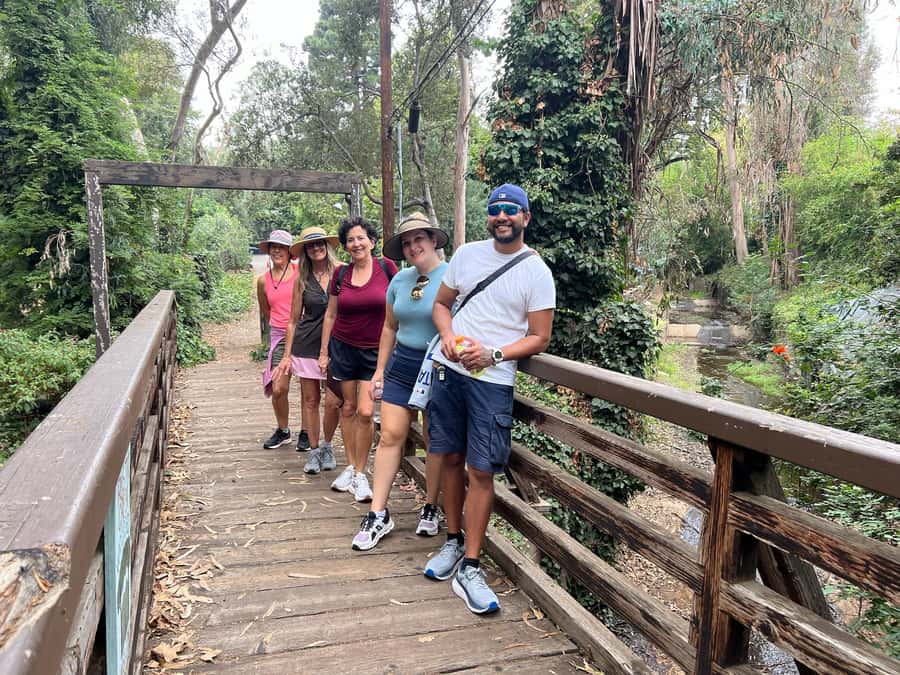Discover Santa Monicas Hidden Stairways & Canyon Paths - Scenic Canyon Paths and Coastal Tree Spotting