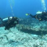 Discover Scuba - The Structure of the Discover Scuba Tour