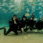 Discover Scuba Diving - Safety First: Briefings and Instructors