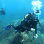 Discover scuba diving - The 30-Minute Underwater Exploration
