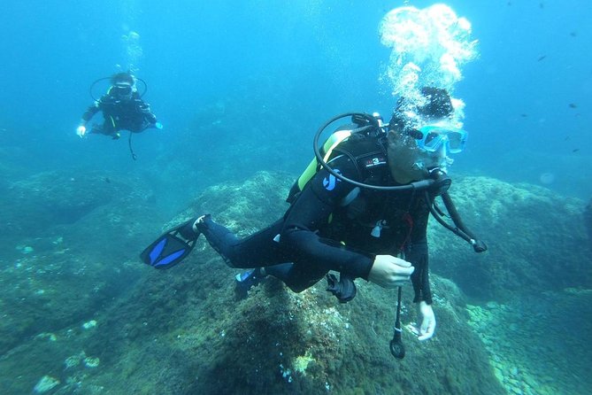 Discover scuba diving - The 30-Minute Underwater Exploration