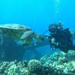 Discover Scuba Diving Class from Lahaina - How the Discover Scuba Class Starts at Lahaina