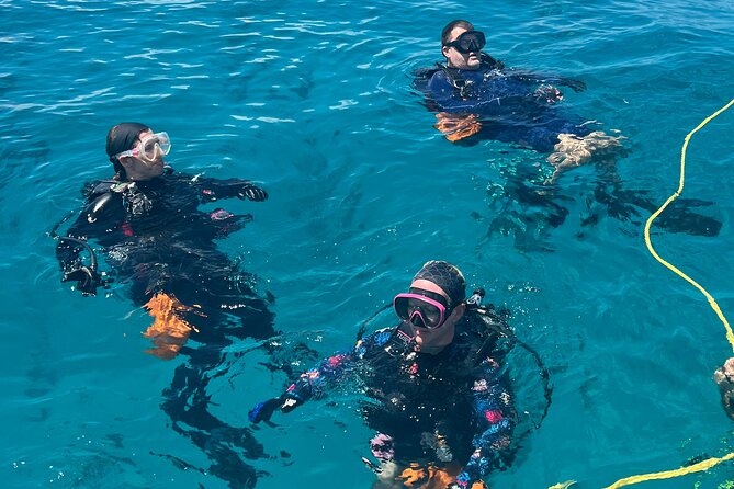 Discover Scuba Diving Course Pool Training Session in Key Largo. - What the Pool Training Includes and How It Prepares You
