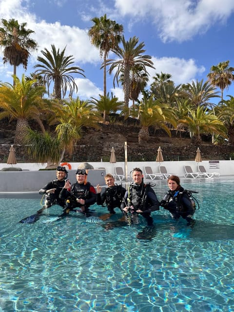 Discover Scuba Diving Experience - Starting with the PADI Online Theory Module