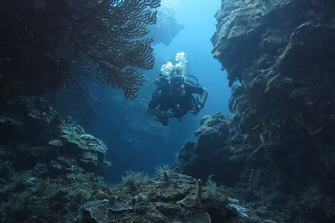 Discover Scuba Diving From Boat - Booking and Availability for the Cozumel Experience