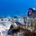 Discover Scuba Diving in Cozumel - Starting Point: Tikila Bar in Cozumel