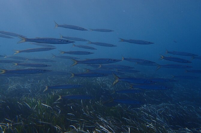 Discover Scuba Diving in Santorini - Learning Basic Skills with a PADI Professional