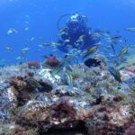Discover Scuba Diving, Tenerife. Photos and videos included - Starting at the Dive Center: Clear Instructions and Preparation