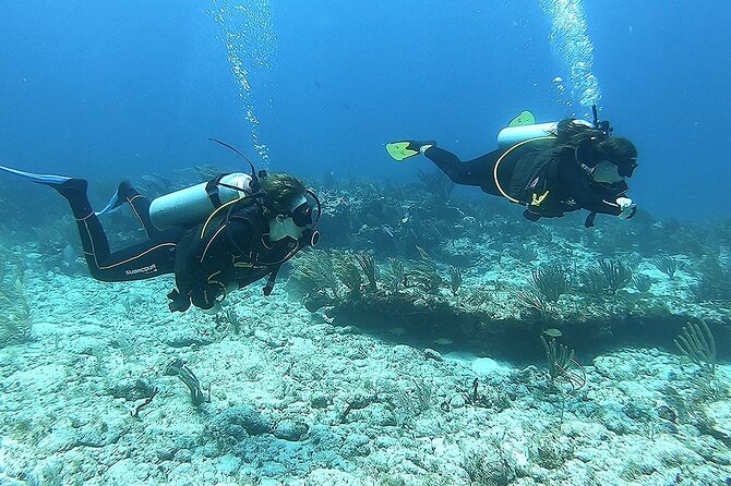 Discover Scuba - The Structure of the Discover Scuba Tour