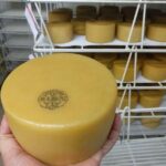 Discover the Art of Idiazabal Cheese in the Basque Country - Starting Point and Transportation Logistics