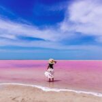 Discover the FABULOUS PINK WATERS at the Caribean (Las Coloradas+Río Lagartos) - Departure Details and Transportation Logistics