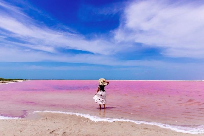 Discover the FABULOUS PINK WATERS at the Caribean (Las Coloradas+Río Lagartos) - Departure Details and Transportation Logistics