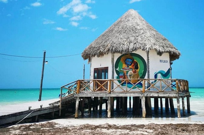 Discover the Paradise of Holbox - Witnessing the Bioluminescent Magic