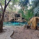 Discover the Serenity: A Tour of the Hidden Cenotes (PVT) - Exploring the Hidden Cenotes of Xbatun and Dzonbacal