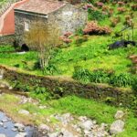 Discover the unexplored beauty of the island by jeep the Nordeste - The Lush Gardens of Ponta do Sossego