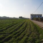 Discovering Valencia - private full day tour - Flexibility and Cancellation Policy for Peace of Mind