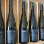 Discovery and Tasting of Biodynamic Wine in Alsace - Meet at Achillée in Scherwiller, Strasbourg