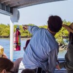 Discovery Dolphin Boat Tour - Wildlife Encounters: Dolphins, Manatees, and More