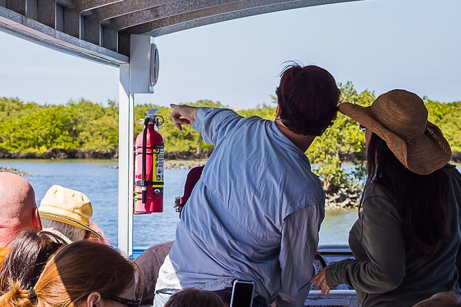 Discovery Dolphin Boat Tour - Wildlife Encounters: Dolphins, Manatees, and More