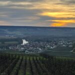 Discovery Tour Reims and Epernay - Exploring Reims: From the Courtyard to the Cathedral