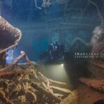 Dive The Rock (Scuba Diving Experience in Protaras) - The Dive at Green Bay: Meeting Fish and Turtles