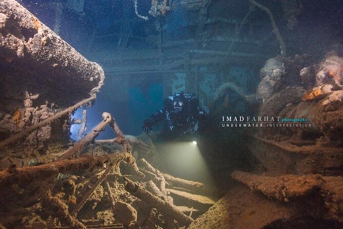 Dive The Rock (Scuba Diving Experience in Protaras) - The Dive at Green Bay: Meeting Fish and Turtles