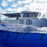 Dive with Sharks in Hawaii: Shark Tour from Haleiwa - The Unique Approach of Ocean Ramsey & Juan Oliphant