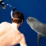 Dive with sharks in Oahu Hawaii: Educational Tour (No cage) - Highlights of Swimming with Sharks in Open Water