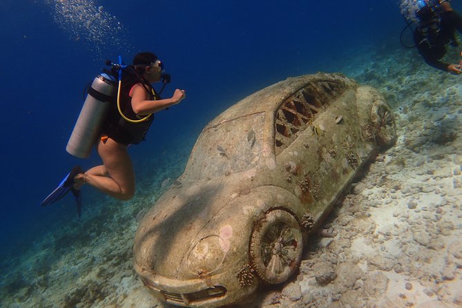 Diving in Cancun for Certified Divers | 2 Dives | All Inclusive - The Certified Diver Experience in Cancun