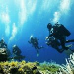 Diving with PADI 5 Star CDC Diving Resort Isola Bella Marine Park Taormina - Refreshments and Relaxation Between Dives