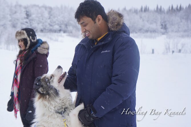 Dog Sled Adventure - Starting Point at Howling Bay Kennels in Fairbanks