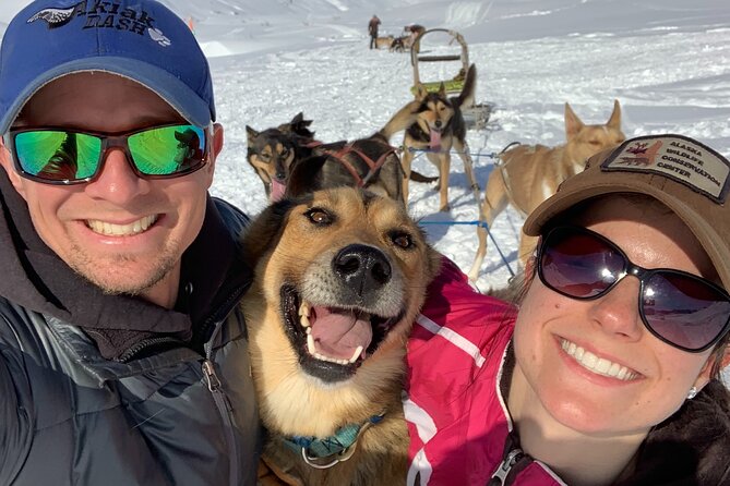 Dog Sledding Adventure in Willow, Alaska - Meeting at the W Reynolds Rd Base in Wasilla