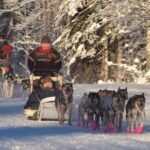 Dog Sledding and Mushing Experience in North Pole - The Mushing Trail: Five Miles of Snowy Adventure