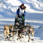 Dog Sledding with Alaskan Huskies - Starting Point at Big Lake’s Visitor Center