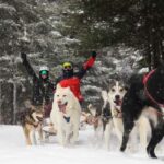 Dogsledding Nordic Adventure near Mont-Tremblant - The Meeting Point and How to Find It
