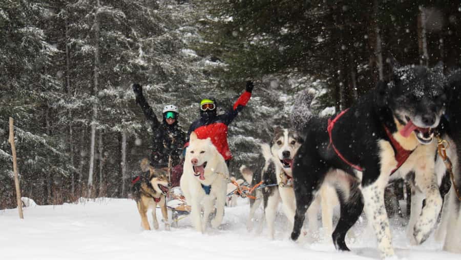 Dogsledding Nordic Adventure near Mont-Tremblant - The Meeting Point and How to Find It