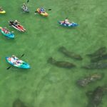 Dolphin and Manatee Adventure Tour of Naples with Florida History - Starting Point and Booking Details in Naples