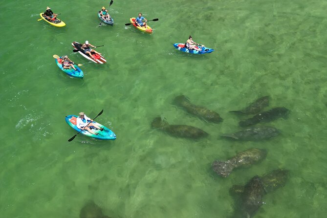 Dolphin and Manatee Adventure Tour of Naples with Florida History - Starting Point and Booking Details in Naples