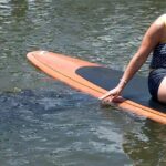 Dolphin and Manatee Adventure tour of Osprey with Florida History - Navigating Little Sarasota Bay and Mangrove Islands