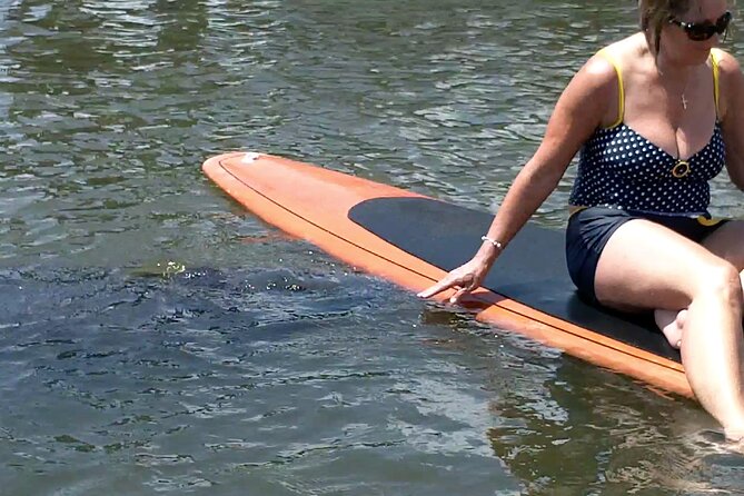 Dolphin and Manatee Adventure tour of Osprey with Florida History - Navigating Little Sarasota Bay and Mangrove Islands