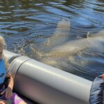 Dolphin and Manatee Boat Tour from Cocoa Beach and Port Canaveral - Views of Kennedy Space Center from the Water
