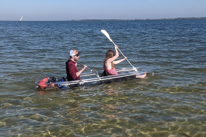 Dolphin and Manatee Clear Kayak or Paddleboard Tour - Equipment and Guide Expertise at Epic Paddle Adventures