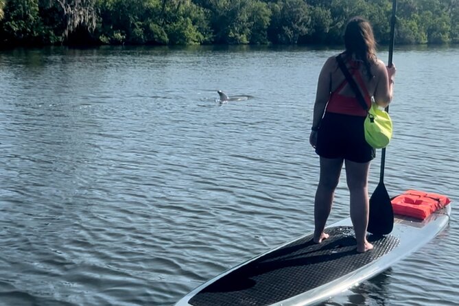 Dolphin and Manatee Kayak and SUP Adventure Tour of Cocoa Beach - Starting Point and Duration