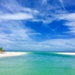 Dolphin and Shelling Cruise for up to 12 people - Dolphin Watching and Wildlife Encounters