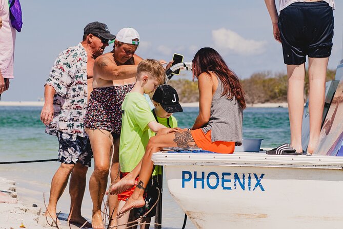 Dolphin and Shelling Cruise Tour at Fort Myers Beach - Estero Bay Preserve State Park and Hickory Island Stop