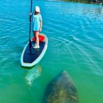 Dolphin, Manatee and Sea Turtle Adventure Tour of Bonita Springs - The Route and Notable Stops in Bonita Springs