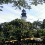 Dolphin Morning Watching & Snorkeling + open bar + 1 day Hop-On Hop-Off Fun - Unlimited Drinks and Relaxation During the Return Voyage