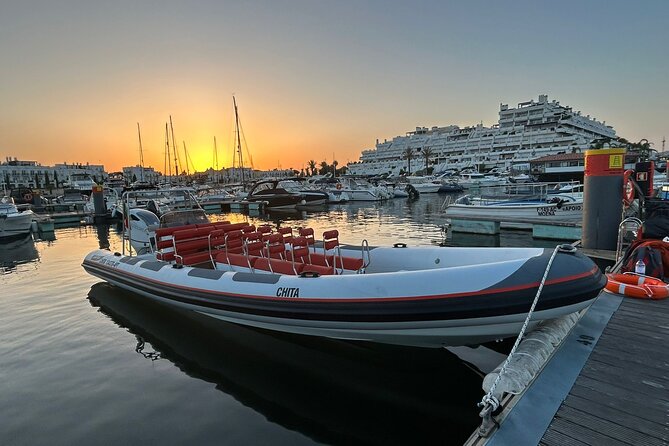 Dolphin Safari, São Rafael Caves & Coastline. - Dolphin Watching: The Highlight of the Tour