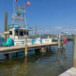 Dolphin & Scenic Bay Sightseeing Cruise Up to 49, Pensacola - The Frisky Mermaid: Comfort and Viewing Perches